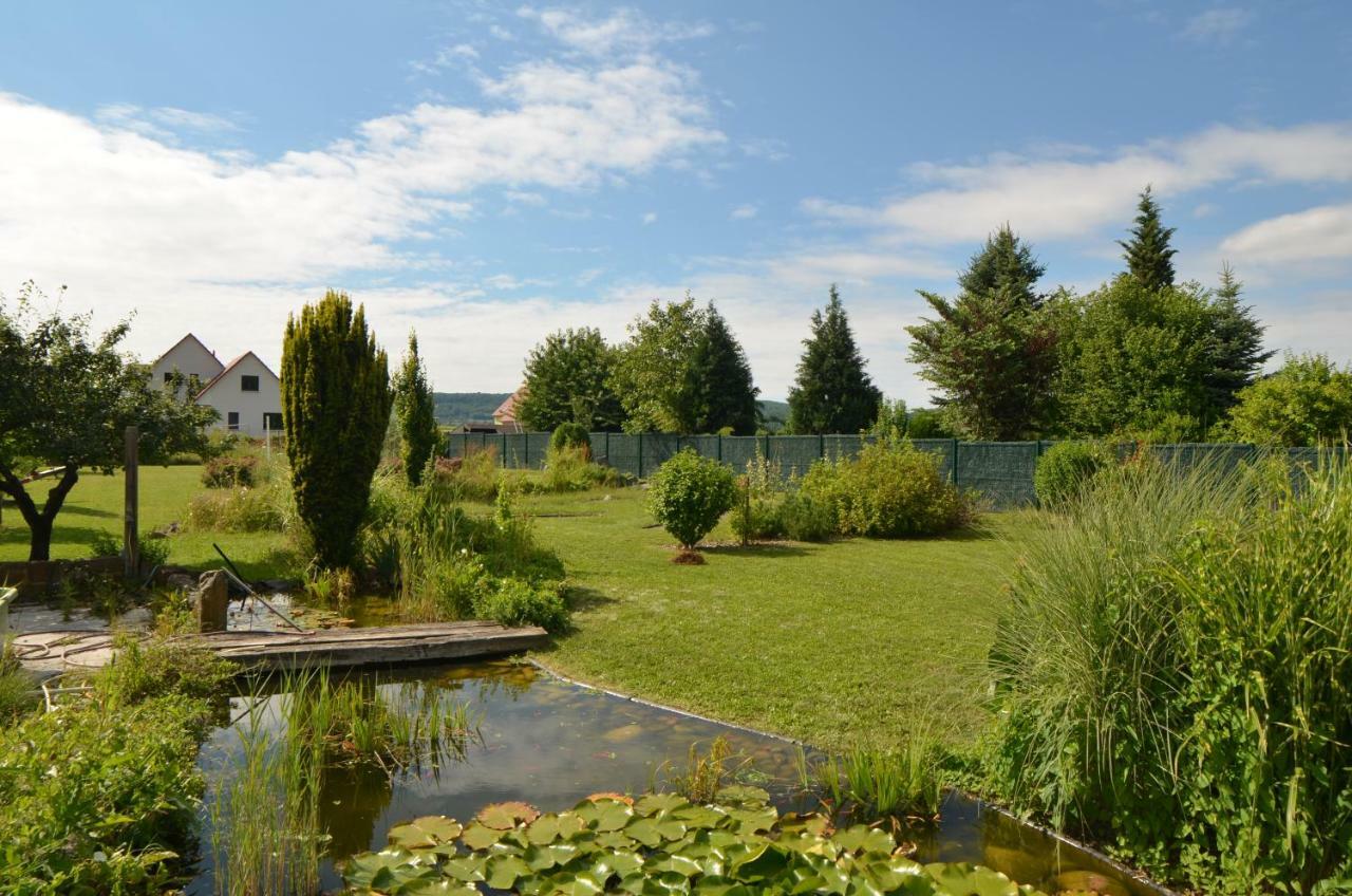 Gite Cigogne Odratzheim Bagian luar foto